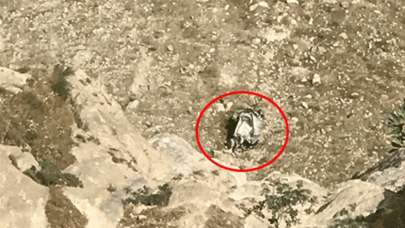 350 metrelik uçurumdan uçtu! Şoför son anda atladı