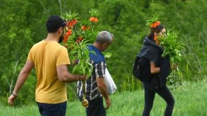 Cezası 60 bin TL ama böyle kaçırdılar