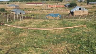 Aniden ortaya çıktı! Dev yılan görenleri şoke etti