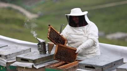 Anzer balının kilosu bin lira oldu