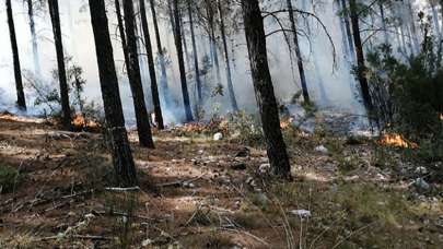 Tatil cennetinde yangın paniği