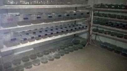 Mardin'de ele geçirildi! Litresi tam 10 milyon dolar