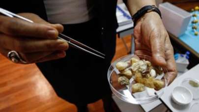 Karadeniz'de var! O hastalıkları tedavi ediyor