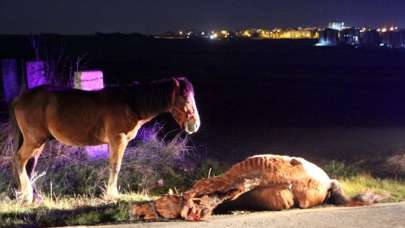 Vefanın fotoğrafı! Bir an olsun ayrılmadı