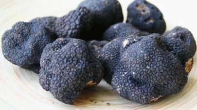 Trüf Mantarı nedir? Trüf mantarının yararları neler?