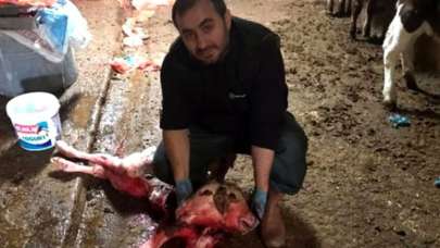 Çift başlı doğdu! Görenler dehşete kapıldı