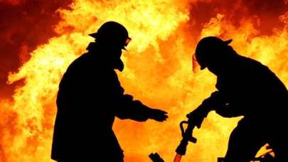 Avustralya'da korkunç bilanço: 480 milyon hayvan öldü