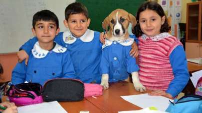 Öğrencilerin sevgilisi Fındık'tan üzücü haber