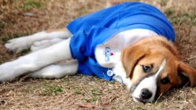 'Fındık'tan kötü haber