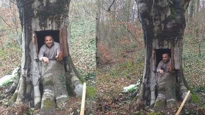 Ağaç kavuğunu oyan şahıs hakkında yasal işlem