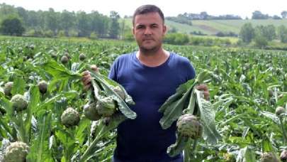 Kapış kapış gidiyor! Dönümünden 15 bin kazanıyor