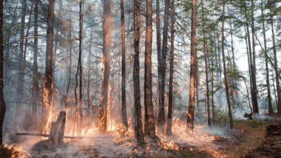 Sibirya'da acil durum ilan edildi! Tarihin en sıcak ayları
