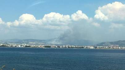 Çanakkale'de orman yangını