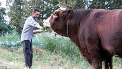 1,8 tonluk 'Kocaman' alıcısını bekliyor