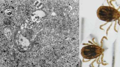 Çin yeni bir salgın konusunda uyardı!