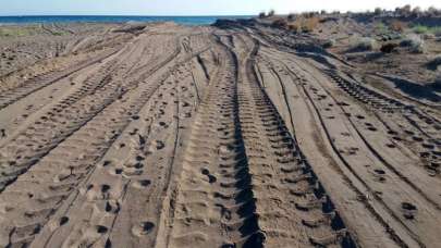 İş makineli çalışma! Yuvalar yok oldu