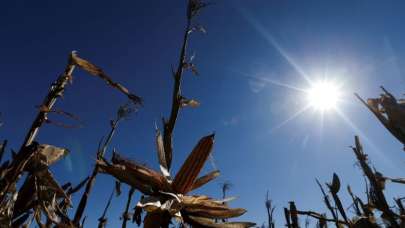 BM: Küresel sıcaklık artışı tehlikeli seviyelere ulaşabilir