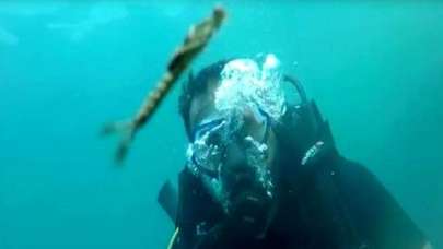 Van Gölü'nde yeni bir canlı türü görüntülendi