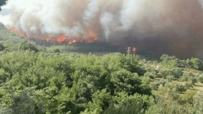 Bakan Pakdemirli açıkladı: Hatay'daki yangınlar kontrol altına alındı
