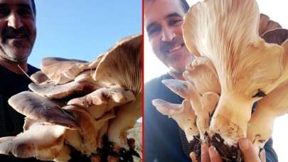 Görenler inanamıyor! Tam 5 kilo 624 gram