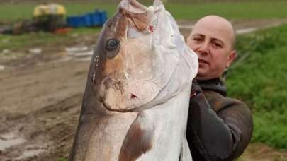 İnanılmaz olay! Boyu kadar balık avladı