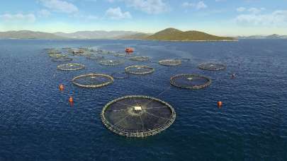 'Su ürünleri yetiştiriciliğinde Avrupa'da birinciyiz'