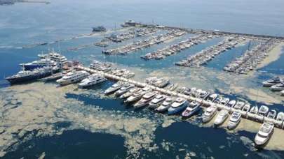 YÖK, akademisyenlerle 'müsilaj' sorununu görüşecek