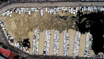 Deniz salyasına talip çıktı! 'Toplayıp bize verin'