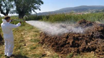 Kütahya'da haşereyle mücadele hız kesmiyor
