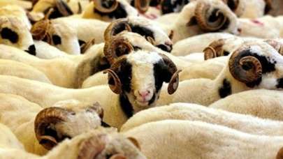 Kurban Bayramı ne zaman kaç gün kaldı? 2021 Kurban Bayramı ne zaman başlıyor?