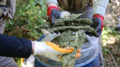 PKK'nın finans kaynağına narko-terör darbesi