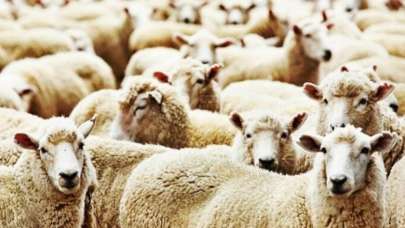 Kurban bayramına kaç gün var, ne zaman? Kurban bayramı tatili uzatılacak mı, kaç gün?