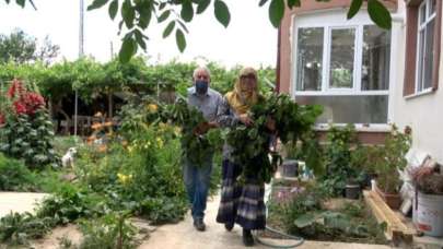 Büyükşehirden taşındılar İpekböceği işine girdiler