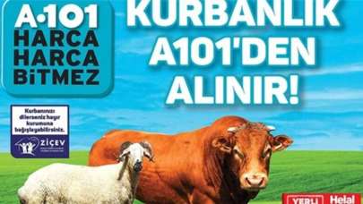 A101 küçükbaş büyükbaş kurban fiyatı 2021 kaç TL? A101 kurbanlık fiyatları ne kadar?