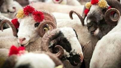 Kurban Bayramı tatili 9 gün mü 11 gün mü? Kurban Bayramı tatili kaç gün oldu?