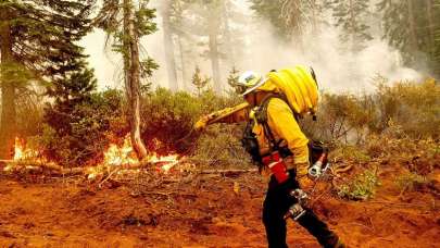Akdeniz ülkeleri orman yangınlarıyla mücadele ediyor