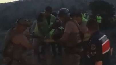 MSB: Üzerine ağaç düşen orman görevlisi hastaneye nakledildi