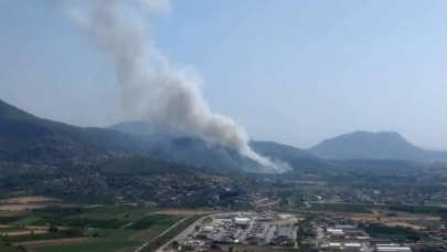 Muğla'da yeni orman yangını