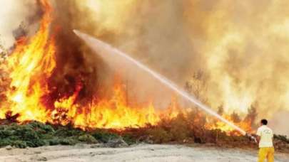 Antalya, Bodrum ve Marmaris'teki orman yangınları söndürüldü