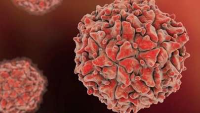 Gambiya'da poliovirüs tespit edildi