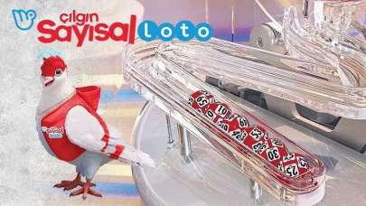 Çılgın Sayısal Loto 1 Eylül çekiliş sonuçları açıklandı öğren | MPİ Çılgın Sayısal Loto sorgulama