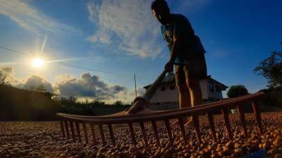 Fındık alım ödemeleri başladı