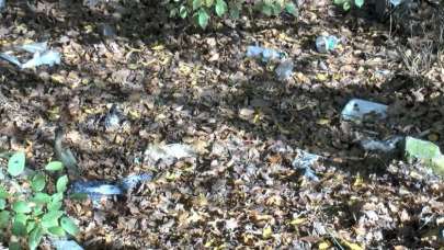 Kemerburgaz'da korkunç manzara!