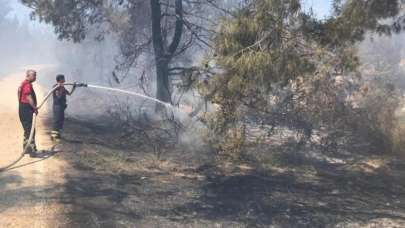 Adana'da çıkan orman yangını kontrol altına alındı