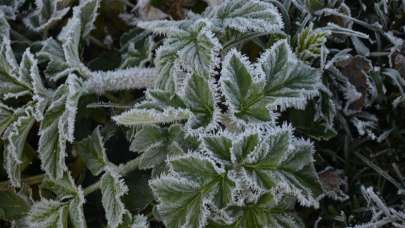 Kars'ta termometreler sıfırın altında 8 dereceyi gösterdi