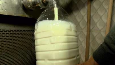 Süt üreticisi şaşkın: 3 liradan alıp, 18 liraya satıyorlar