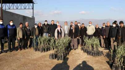 Manisa Büyükşehir Belediyesinden üreticilere 100 bin fidan desteği