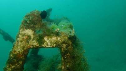 Bu seferde o ilimizde görüldü