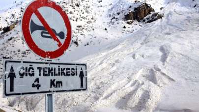 Doğu Anadolu'daki 4 il için çığ ve don uyarısı