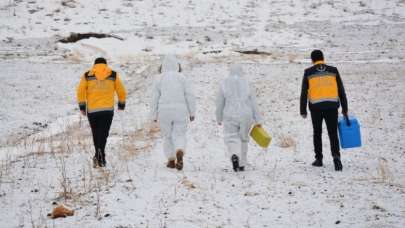 Van'da aşı seferberliği sürüyor